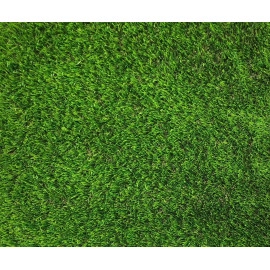 Декоративна трава CCGrass Lissome 45