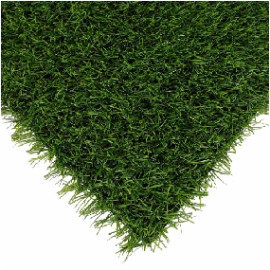 Спортивна трава