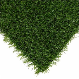 Спортивна трава