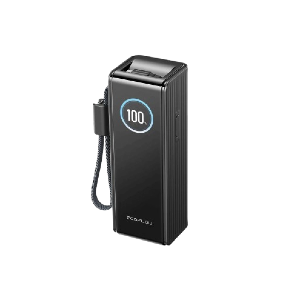 Павербанк EcoFlow RAPID Power Bank з кабелями 25000mAh чорний