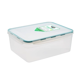 Контейнер Fresh Box середній 5,5 л прозорий