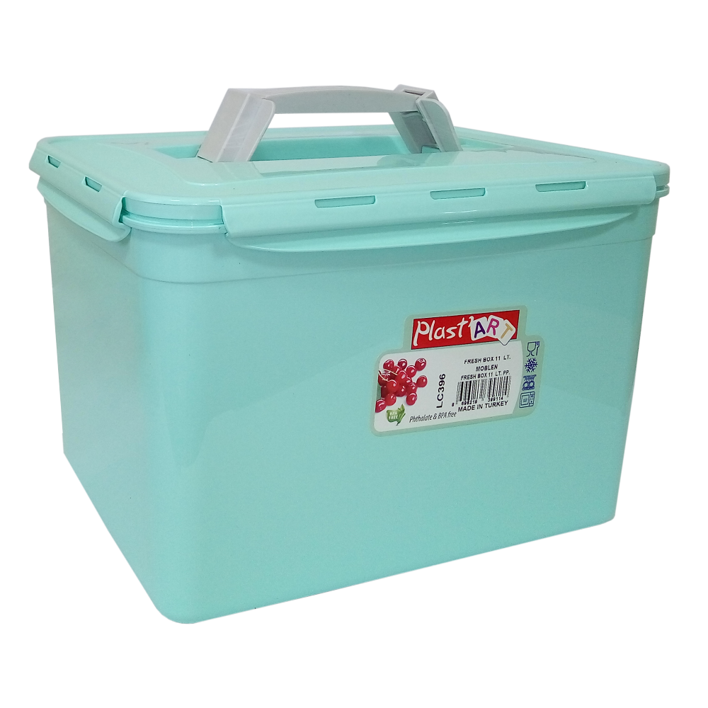 Контейнер з ручкою великий Fresh Box 11 л бірюзовий
