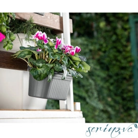 Горщик для квітів балконний підвісний Camellia 6,5 л червоний
