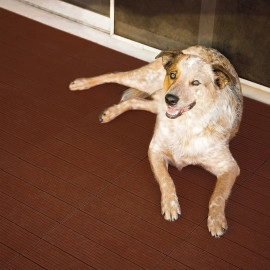 Композитна плитка WPC 30х30х2см Тик (D) SW-00001712